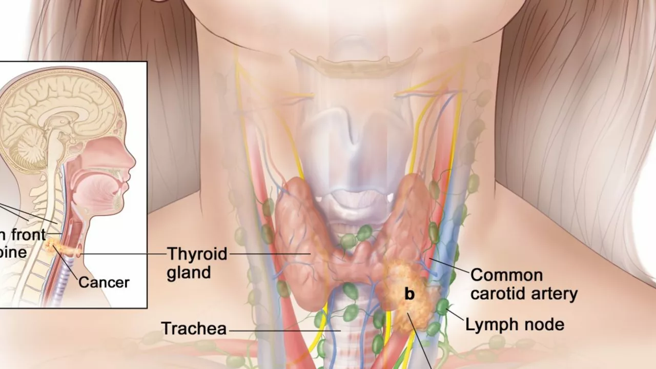 Thyroid Deficiency and Joint Pain: What You Need to Know