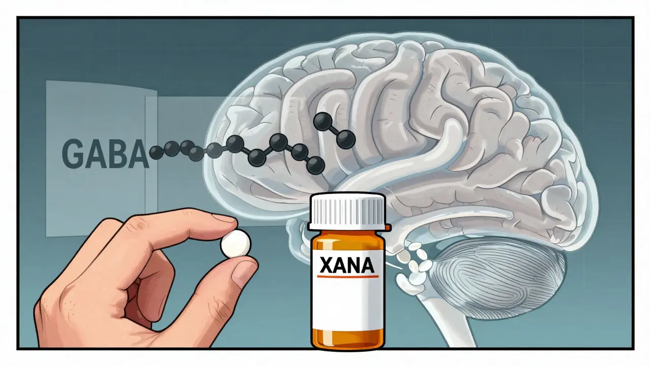 GABA Supplements and Sedatives: What You Need to Know About CNS Depression Risk