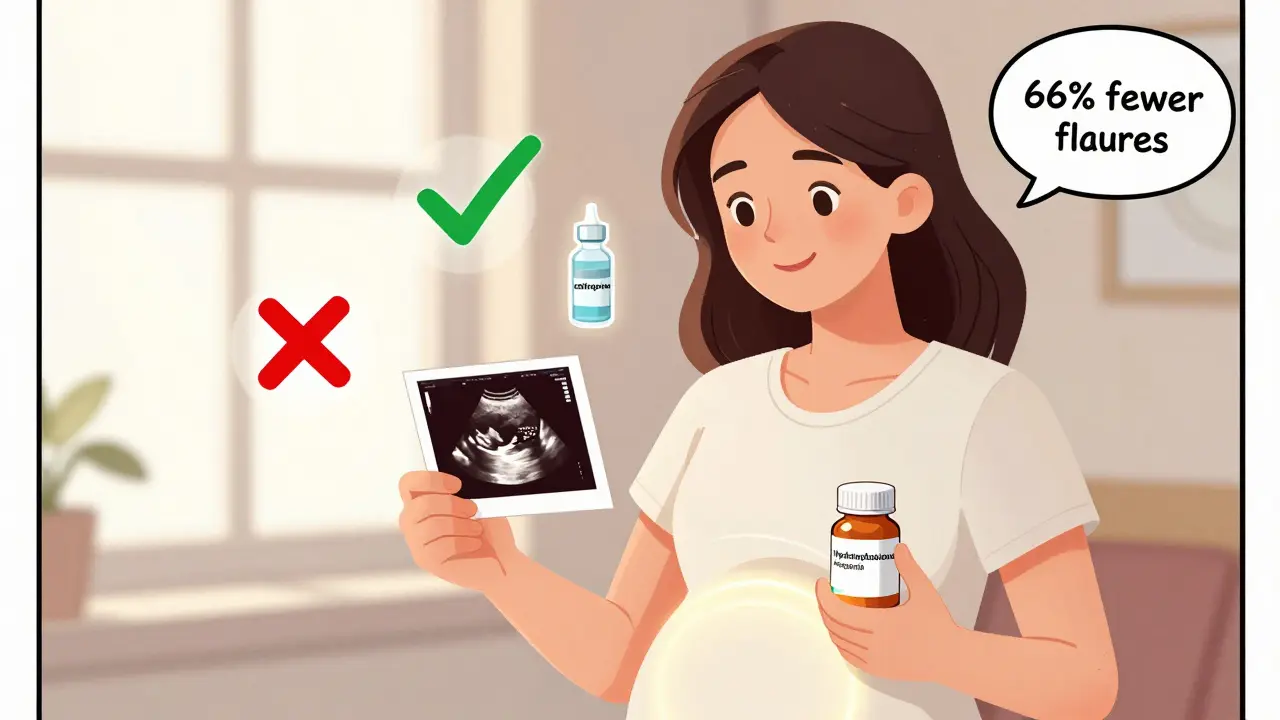 Pregnancy and Autoimmune Disease: Medication Safety and Planning